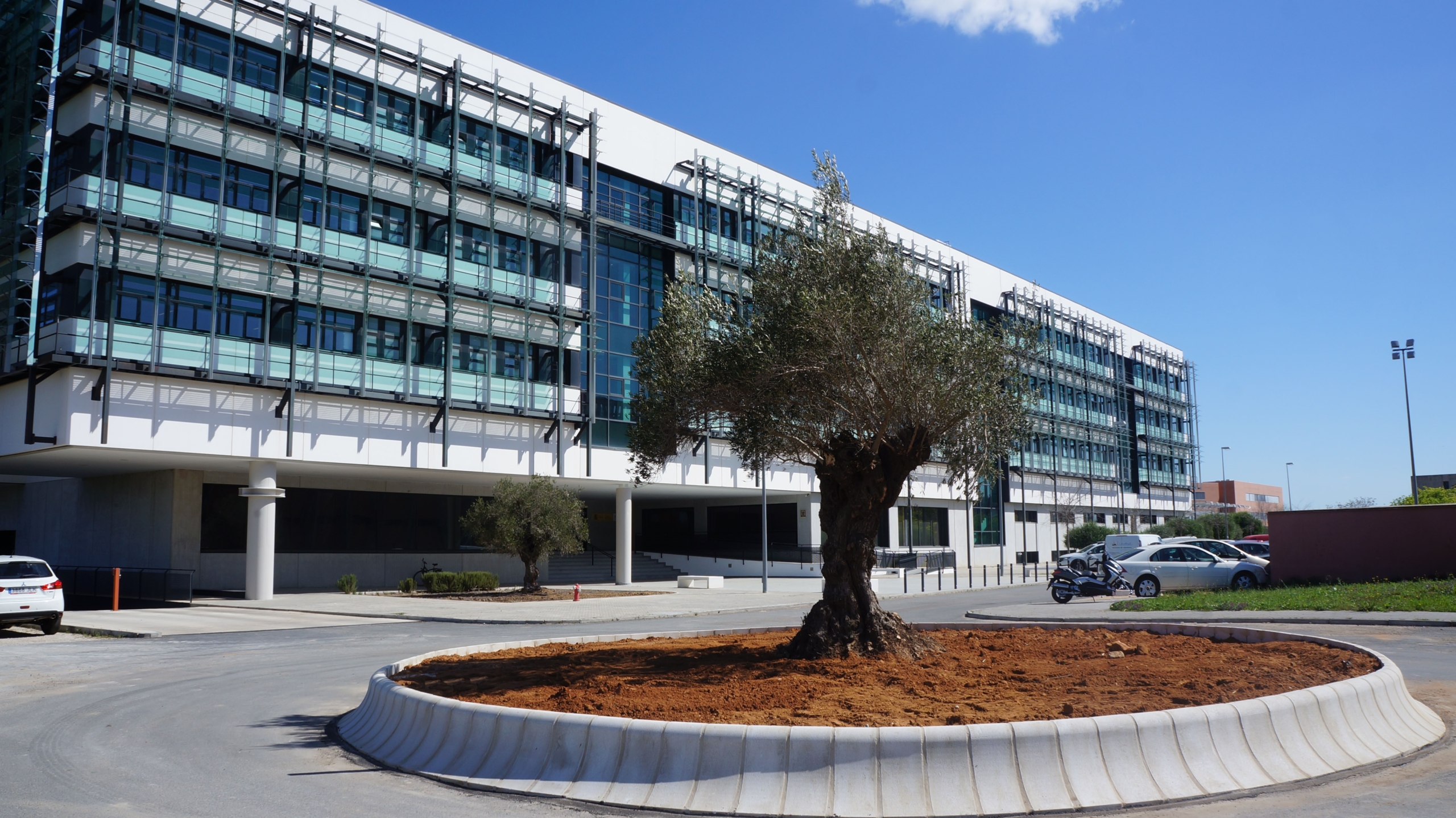 carpinteria-a-medida-en-sevilla | Instituto de la Grasa Mostrador